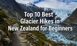 Top 10 Best Glacier Hikes in New Zealand for Beginners