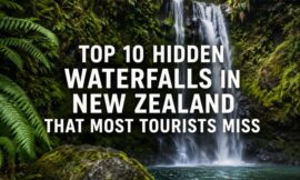 Top 10 Hidden Waterfalls in New Zealand That Most Tourists Miss