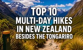 Top 10 Multi-Day Hikes in New Zealand Besides the Tongariro