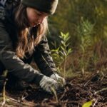 10 Conservation Volunteer Experiences in New Zealand That Make a Difference