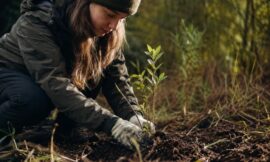 10 Conservation Volunteer Experiences in New Zealand That Make a Difference