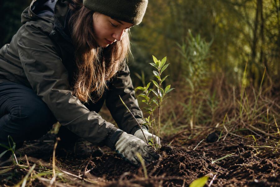 Read more about the article 10 Conservation Volunteer Experiences in New Zealand That Make a Difference