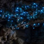 10 Glowworm Caves in New Zealand That Aren’t Waitomo