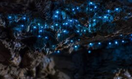 10 Glowworm Caves in New Zealand That Aren’t Waitomo