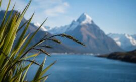 10 Most Searched Questions About New Zealand Answered for 2026