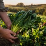 10 Organic Farms in New Zealand That Welcome Visitors