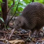 10 Wildlife Sanctuaries in New Zealand Open to the Public