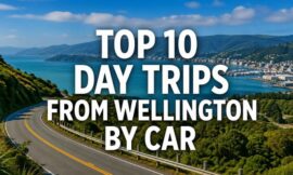 Top 10 Day Trips from Wellington by Car