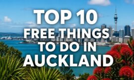 Top 10 Free Things to Do in Auckland