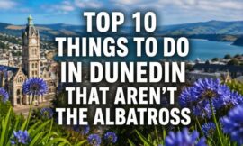 Top 10 Things to Do in Dunedin That Aren’t the Albatross