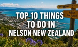 Top 10 Things to Do in Nelson New Zealand