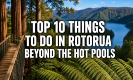Top 10 Things to Do in Rotorua Beyond the Hot Pools
