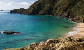 10 Best New Zealand Islands to Visit That Most Tourists Skip