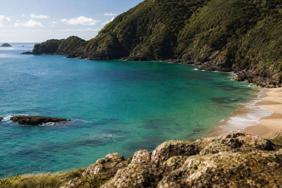 10 Best New Zealand Islands to Visit That Most Tourists Skip moamoa10
