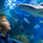 10 Best Rainy Day Activities in Auckland for Kids and Families in 2026