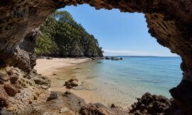 10 Most Stunning Hidden Beaches in Coromandel Most Tourists Completely Miss