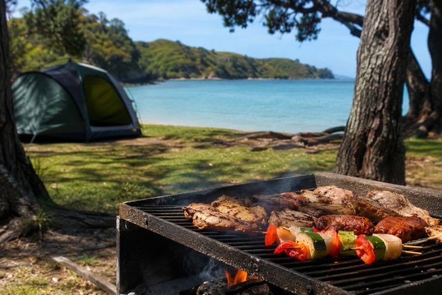 11 Best Family-Friendly Regional Parks Around Auckland for Camping and Picnics moamoa10