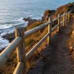 12 Most Breathtaking Coastal Walks in Auckland to Try This Weekend