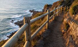 12 Most Breathtaking Coastal Walks in Auckland to Try This Weekend