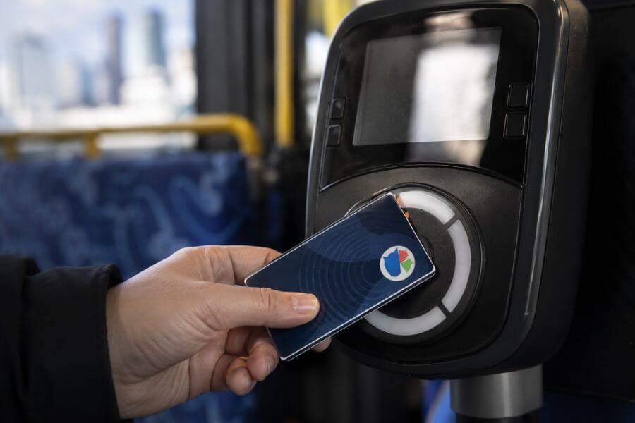 5 Biggest Auckland Transport Mistakes Tourists Always Make When Getting Around moamoa10