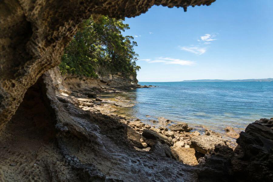 7 Most Unique Hidden Gems in Matakana for a Weekend Road Trip From Auckland moamoa10